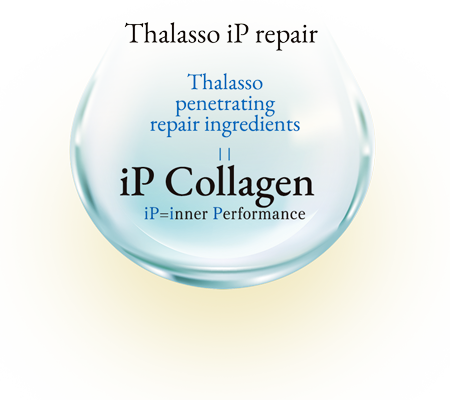 Thalasso iP repair