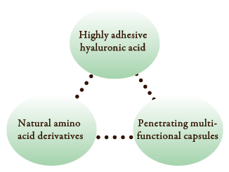 高密着ヒアルロン酸 - 浸透性多機能カプセル - 天然由来アミノ酸誘導体