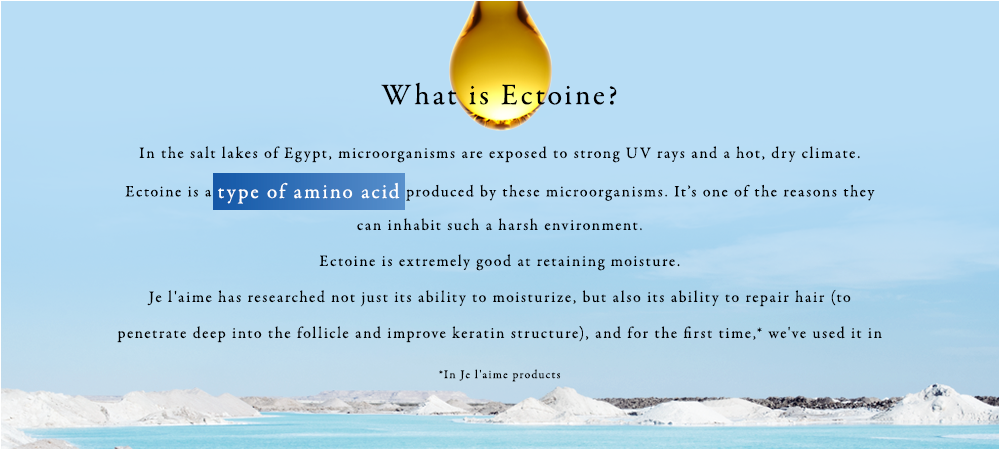 “エクトイン”って、なに? 強い紫外線や乾燥・高温にさらされるエジプトの塩湖。ここに生息する微生物によって産生される「アミノ酸の一種」がエクトインで過酷な環境下でも生息できる理由のひとつとされています。非常に優れた水分保持能を持つエクトイン。ジュレームは保水力だけでなく毛髪補修力（＝毛髪内部に浸透しケラチン構造をととのえる）を見出し、初めて※ヘアケアに応用しました。※ジュレーム内