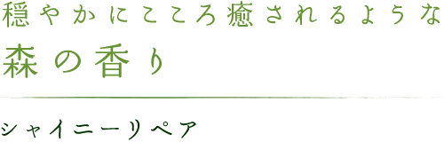 穏やかにこころ癒されるような森の香り：シャイニーリペア