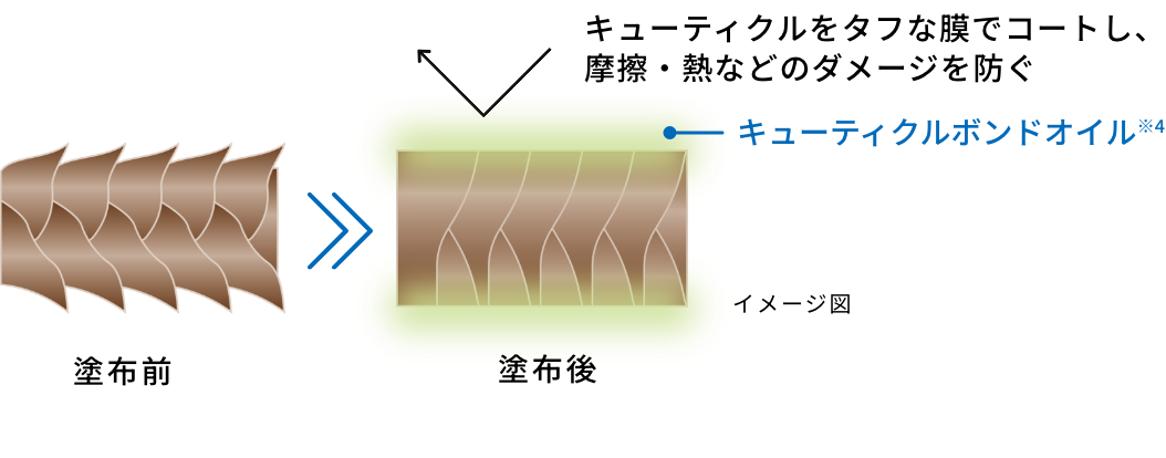 キューティクルをタフな膜でコートし、摩擦・熱などのダメージを防ぐ