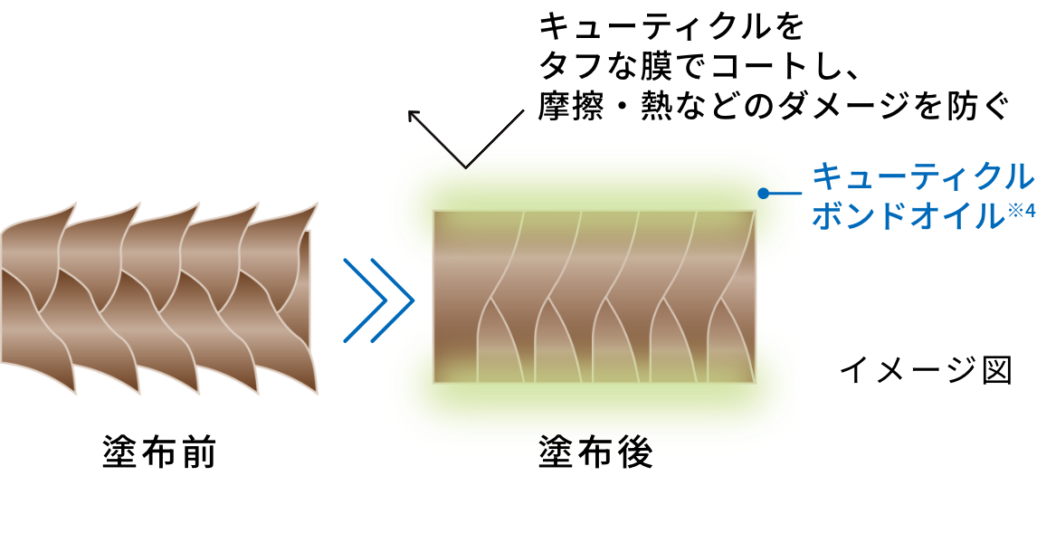 キューティクルをタフな膜でコートし、摩擦・熱などのダメージを防ぐ