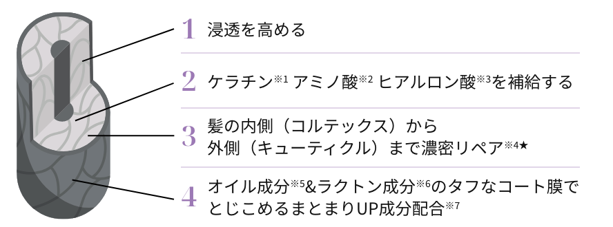 1:浸透を高める、2:ケラチン※1 アミノ酸※2 ヒアルロン酸※3を補給する、3:髪の内側（コルテックス）から外側（キューティクル）まで濃密リペア※4★、4:オイル成分※5&ラクトン成分※6のタフなコート膜でとじこめるまとまりUP成分配合※7