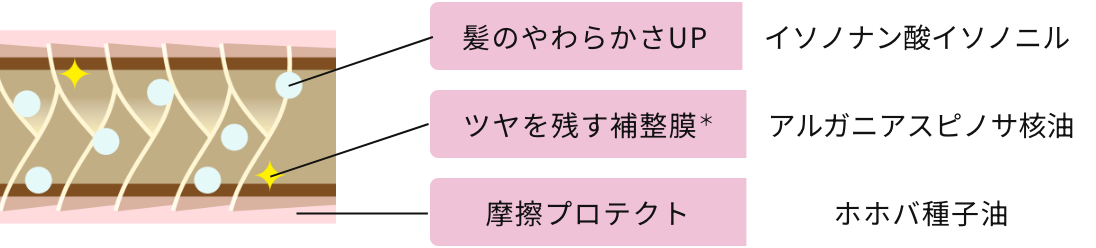 髪のやわらかさUP:イソノナン酸イソノニル、ツヤを残す補整膜＊:アルガニアスピノサ核油、摩擦プロテクト:ホホバ種子油