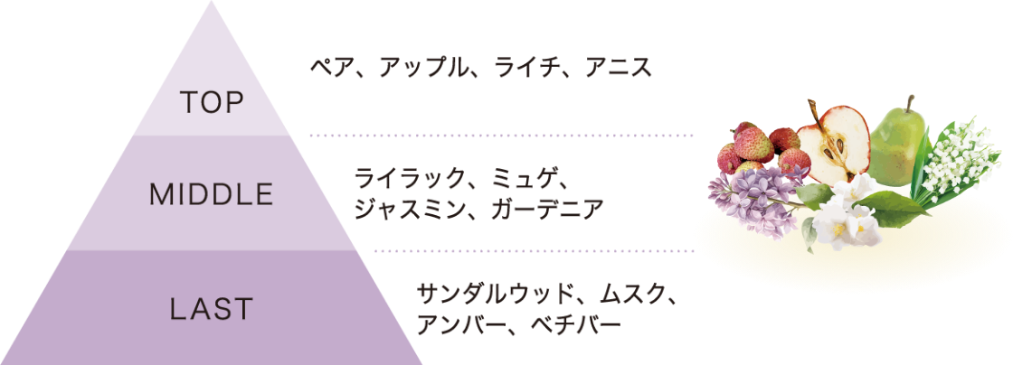 TOP:ペア、アップル、ライチ、アニス、MIDDLE:ライラック、ミュゲ、ジャスミン、ガーデニア、LAST:サンダルウッド、ムスク、アンバー、ベチバー